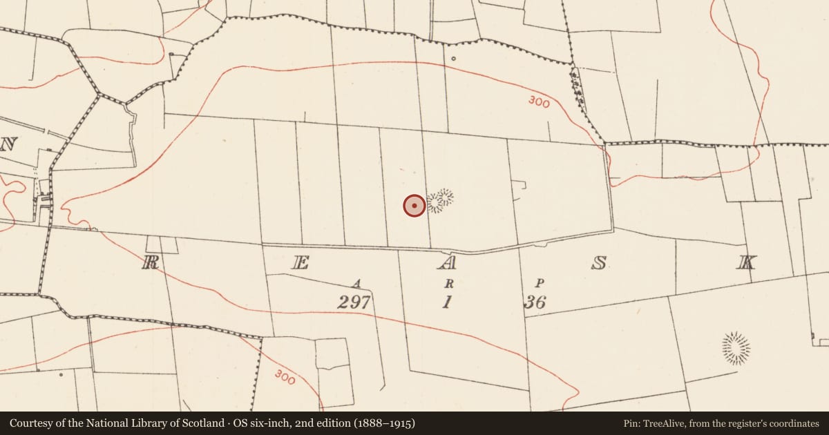 Ordnance Survey six-inch map, 2nd edition (1888–1915) covering the location of Barrow - ditch barrow, Reask, County Sligo, with a pin at the register's coordinates