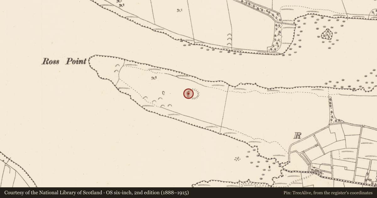 Ordnance Survey six-inch map, 2nd edition (1888–1915) covering the location of Ringfort - rath, Ross, County Sligo, with a pin at the register's coordinates