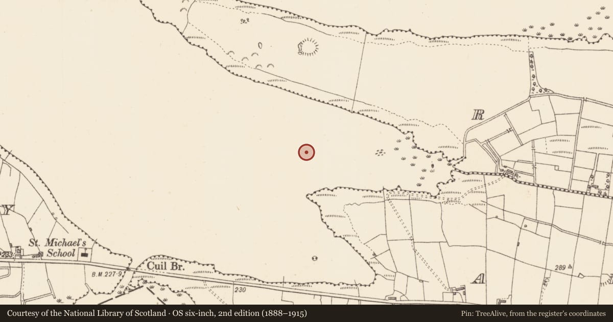 Ordnance Survey six-inch map, 2nd edition (1888–1915) covering the location of Crannog, Lough Gara, County Sligo, with a pin at the register's coordinates