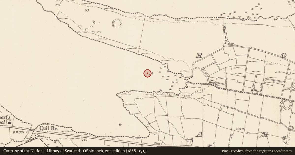 Ordnance Survey six-inch map, 2nd edition (1888–1915) covering the location of Crannog, Lough Gara, County Sligo, with a pin at the register's coordinates