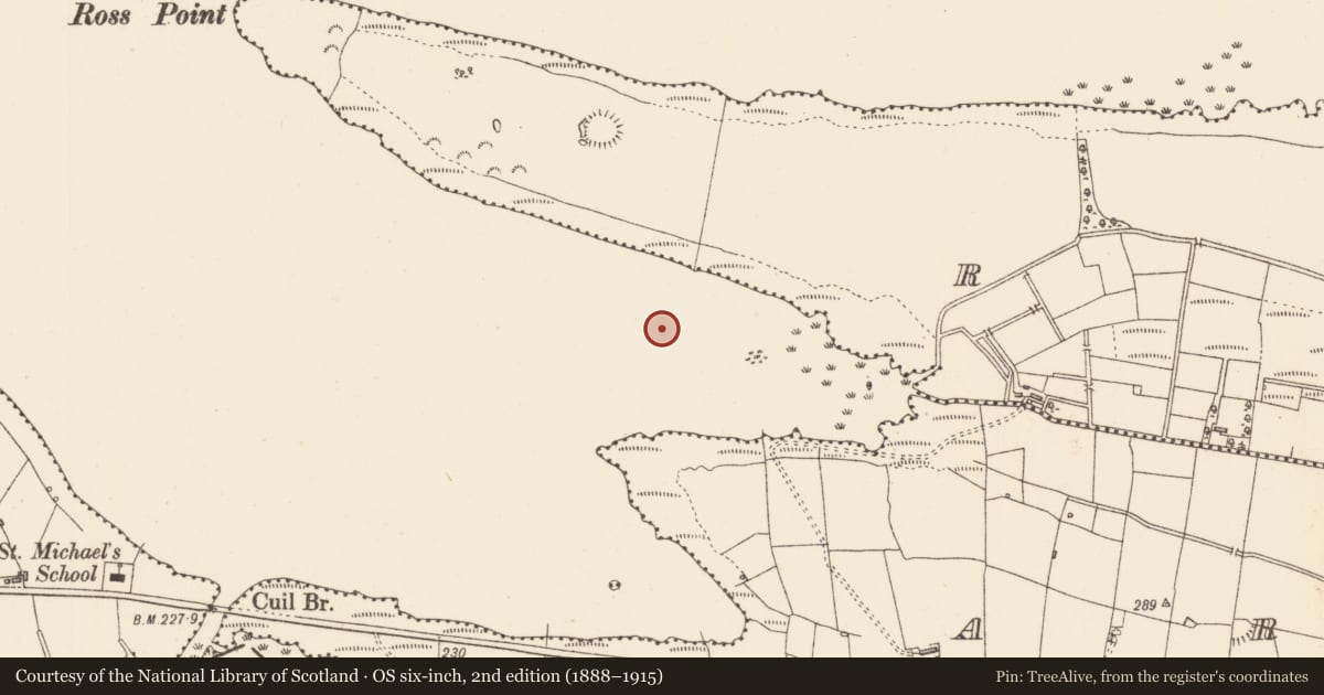 Ordnance Survey six-inch map, 2nd edition (1888–1915) covering the location of Crannog, Lough Gara, County Sligo, with a pin at the register's coordinates