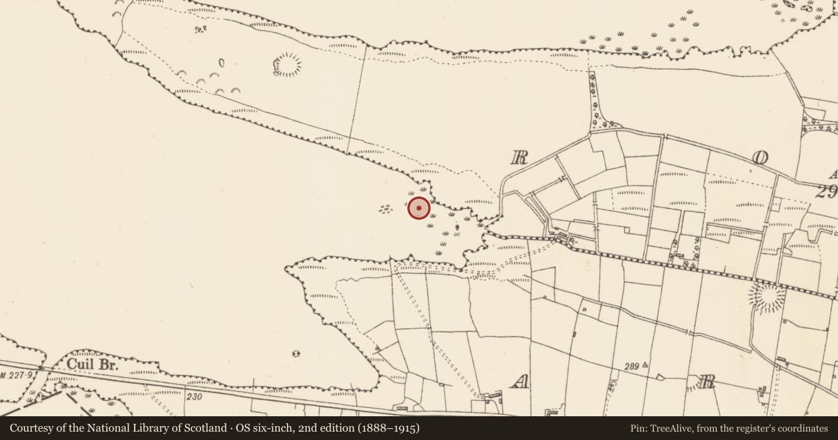 Ordnance Survey six-inch map, 2nd edition (1888–1915) covering the location of Crannog, Lough Gara, County Sligo, with a pin at the register's coordinates