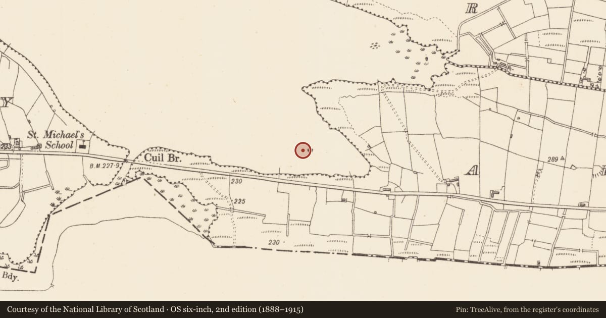 Ordnance Survey six-inch map, 2nd edition (1888–1915) covering the location of Crannog, Lough Gara, County Sligo, with a pin at the register's coordinates