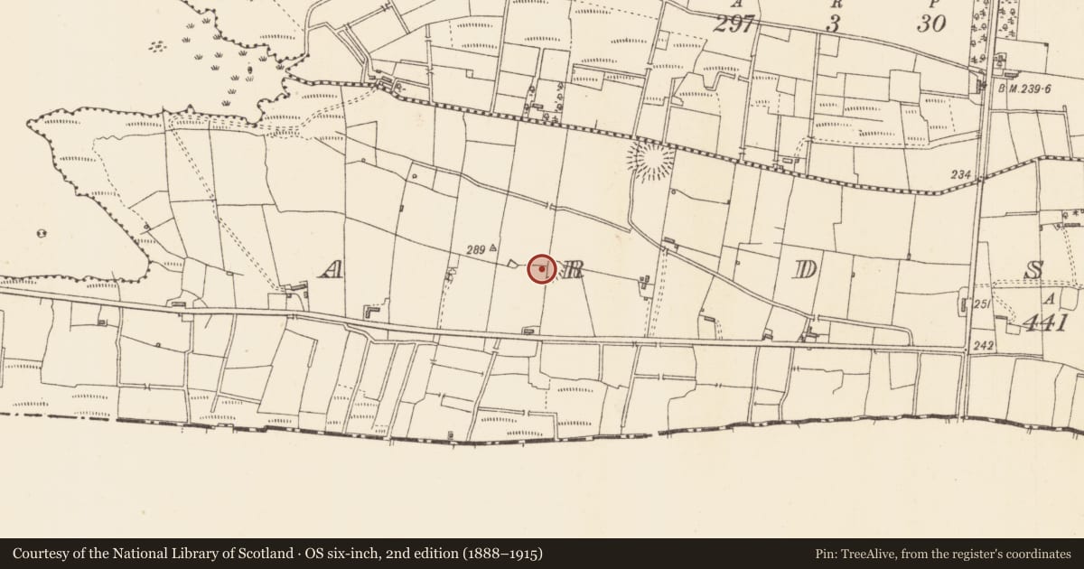 Ordnance Survey six-inch map, 2nd edition (1888–1915) covering the location of Ringfort - rath, Ardsoreen, County Sligo, with a pin at the register's coordinates