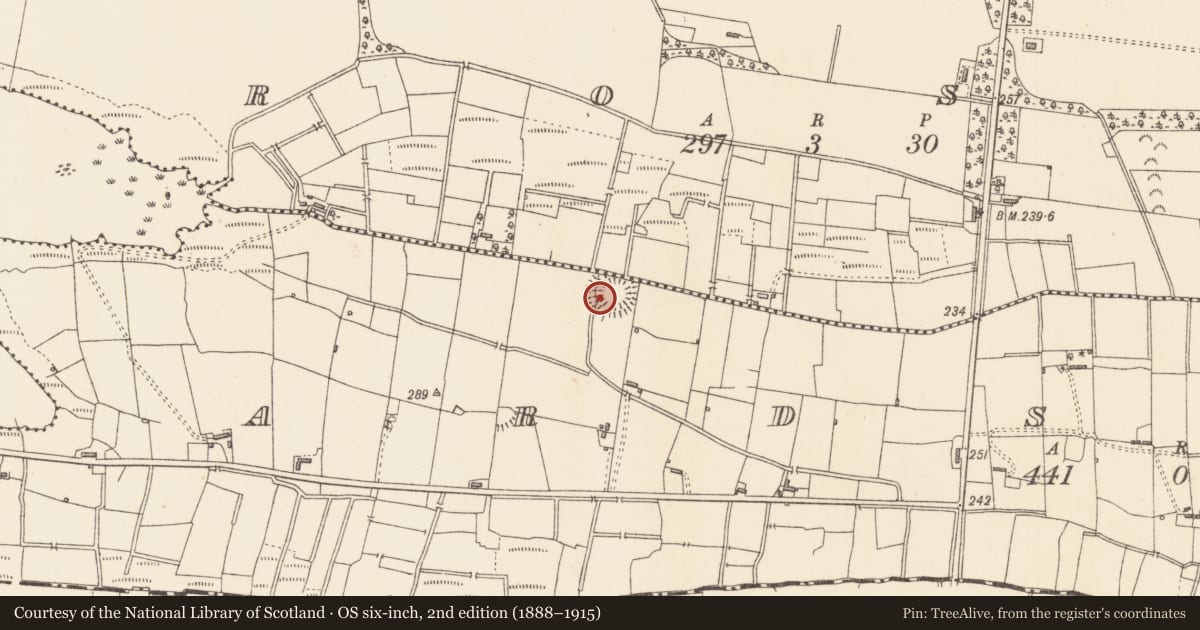 Ordnance Survey six-inch map, 2nd edition (1888–1915) covering the location of Ringfort - rath, Ardsoreen, County Sligo, with a pin at the register's coordinates