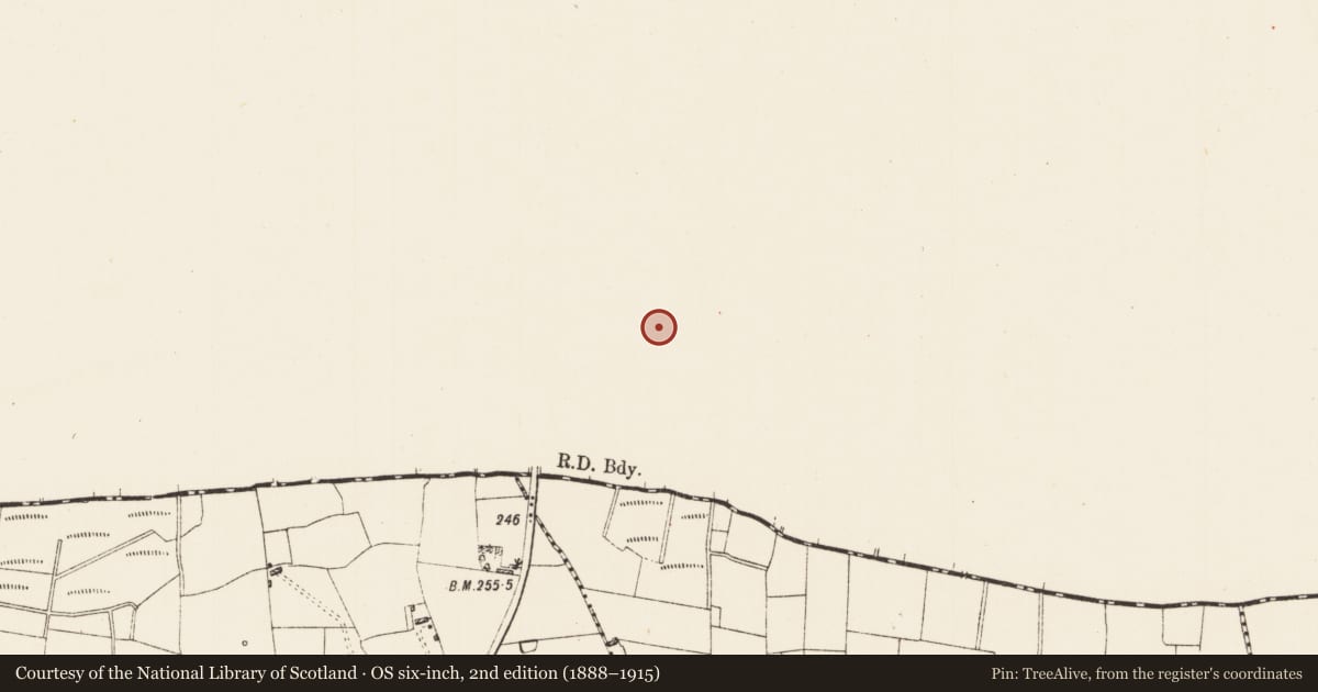 Ordnance Survey six-inch map, 2nd edition (1888–1915) covering the location of Moated site, Ardsoreen, County Sligo, with a pin at the register's coordinates