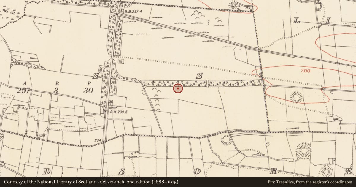 Ordnance Survey six-inch map, 2nd edition (1888–1915) covering the location of Enclosure, Ross, County Sligo, with a pin at the register's coordinates