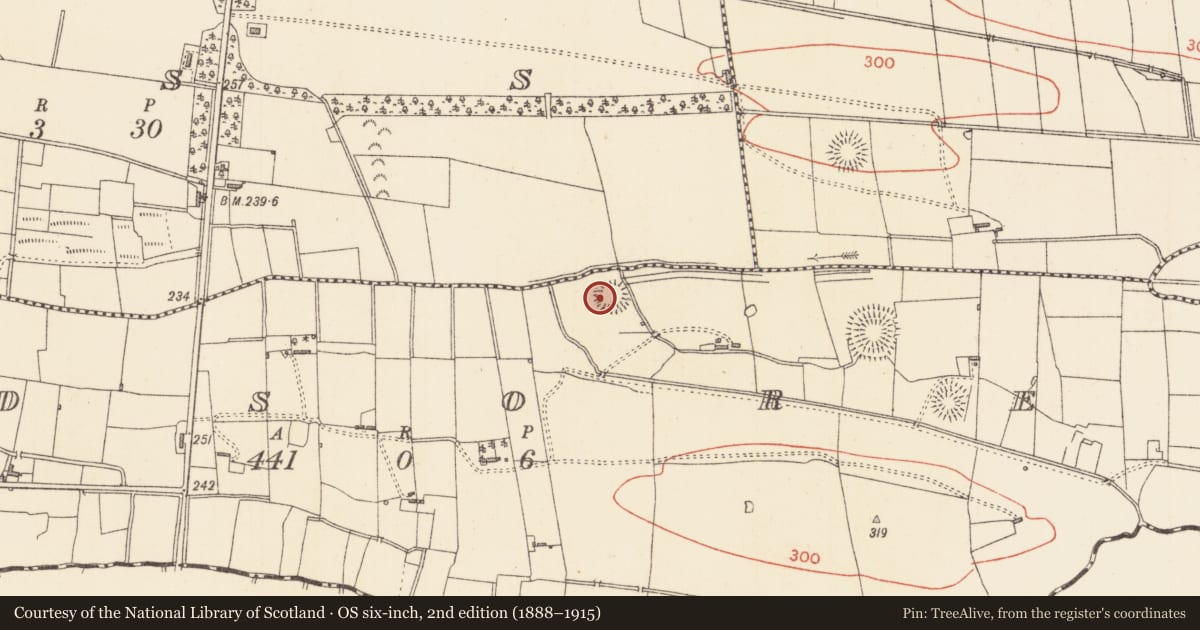 Ordnance Survey six-inch map, 2nd edition (1888–1915) covering the location of Ringfort - rath, Ardsoreen, County Sligo, with a pin at the register's coordinates
