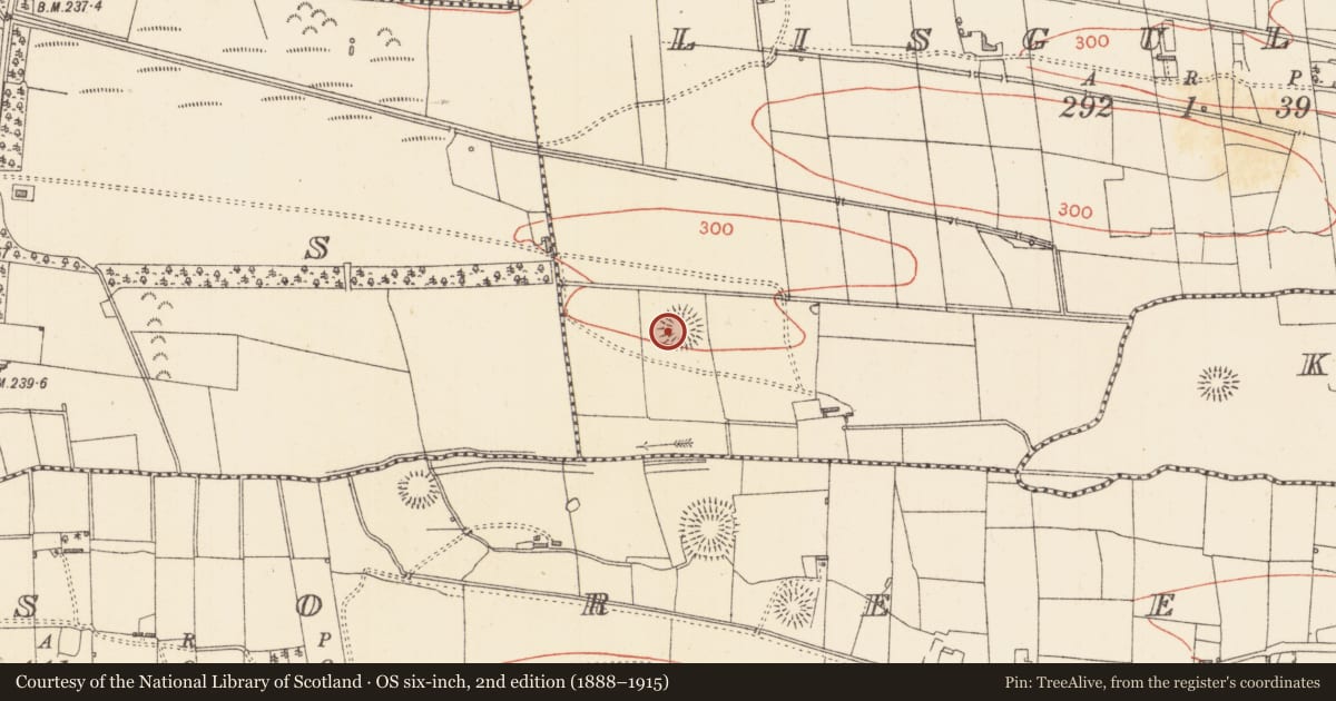 Ordnance Survey six-inch map, 2nd edition (1888–1915) covering the location of Ringfort - rath, Lisgullaun, County Sligo, with a pin at the register's coordinates