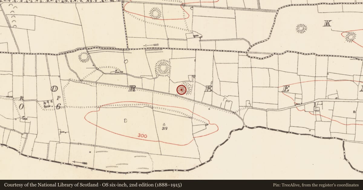 Ordnance Survey six-inch map, 2nd edition (1888–1915) covering the location of Ringfort - rath, Ardsoreen, County Sligo, with a pin at the register's coordinates