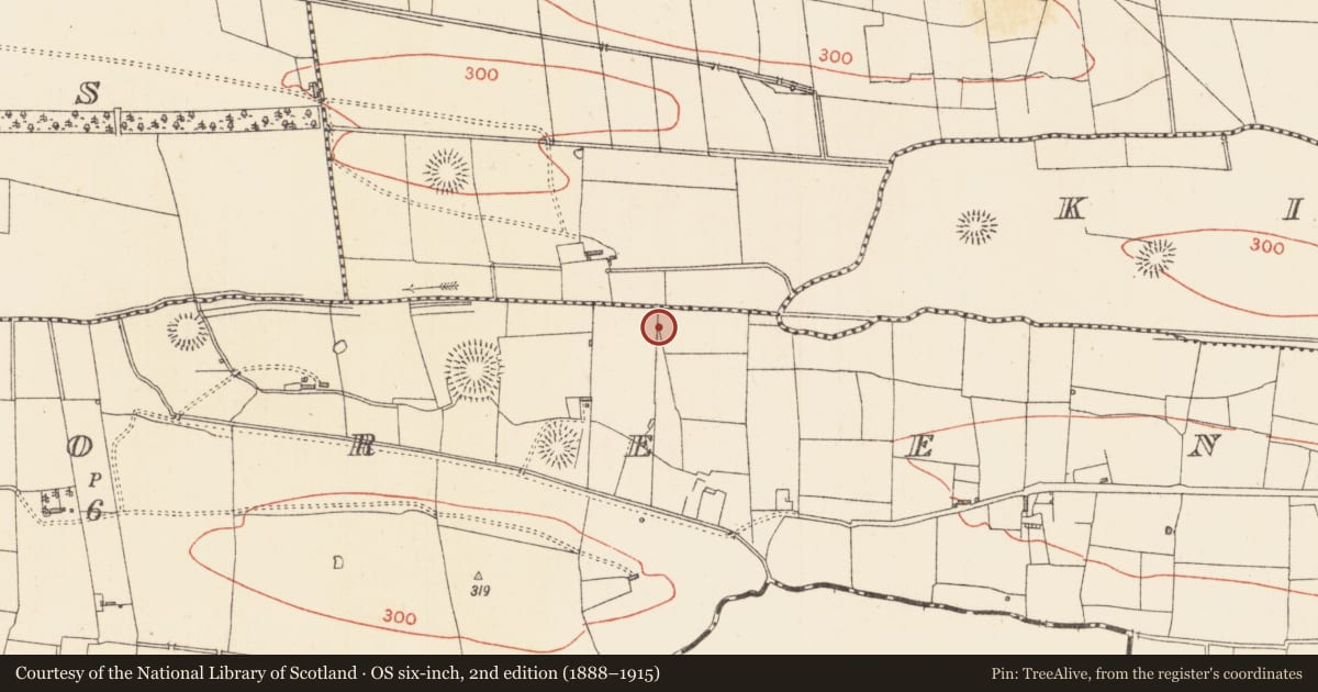 Ordnance Survey six-inch map, 2nd edition (1888–1915) covering the location of Enclosure, Ardsoreen, County Sligo, with a pin at the register's coordinates