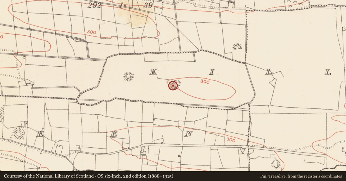Ordnance Survey six-inch map, 2nd edition (1888–1915) covering the location of Ringfort - rath, Killaraght, County Sligo, with a pin at the register's coordinates