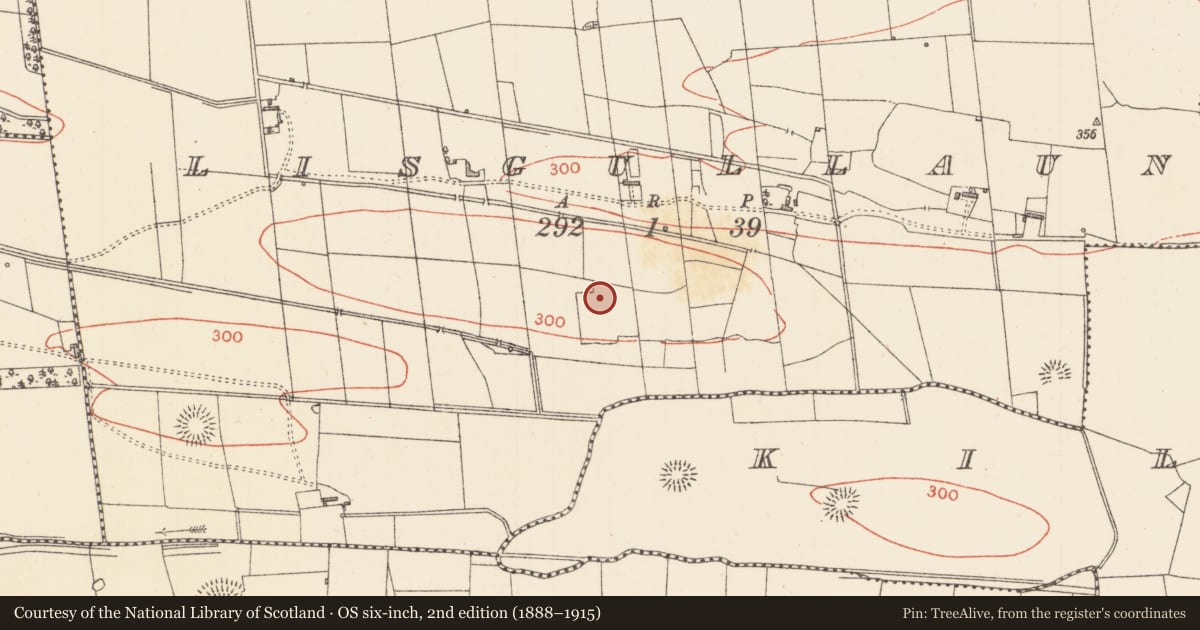 Ordnance Survey six-inch map, 2nd edition (1888–1915) covering the location of Barrow - ring-barrow, Lisgullaun, County Sligo, with a pin at the register's coordinates