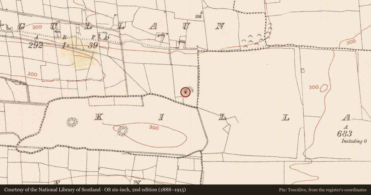 Ordnance Survey six-inch map, 2nd edition (1888–1915) covering the location of Ringfort - rath, Lisgullaun, County Sligo, with a pin at the register's coordinates