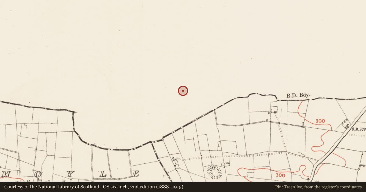 Ordnance Survey six-inch map, 2nd edition (1888–1915) covering the location of Ringfort - rath, Killaraght, County Sligo, with a pin at the register's coordinates