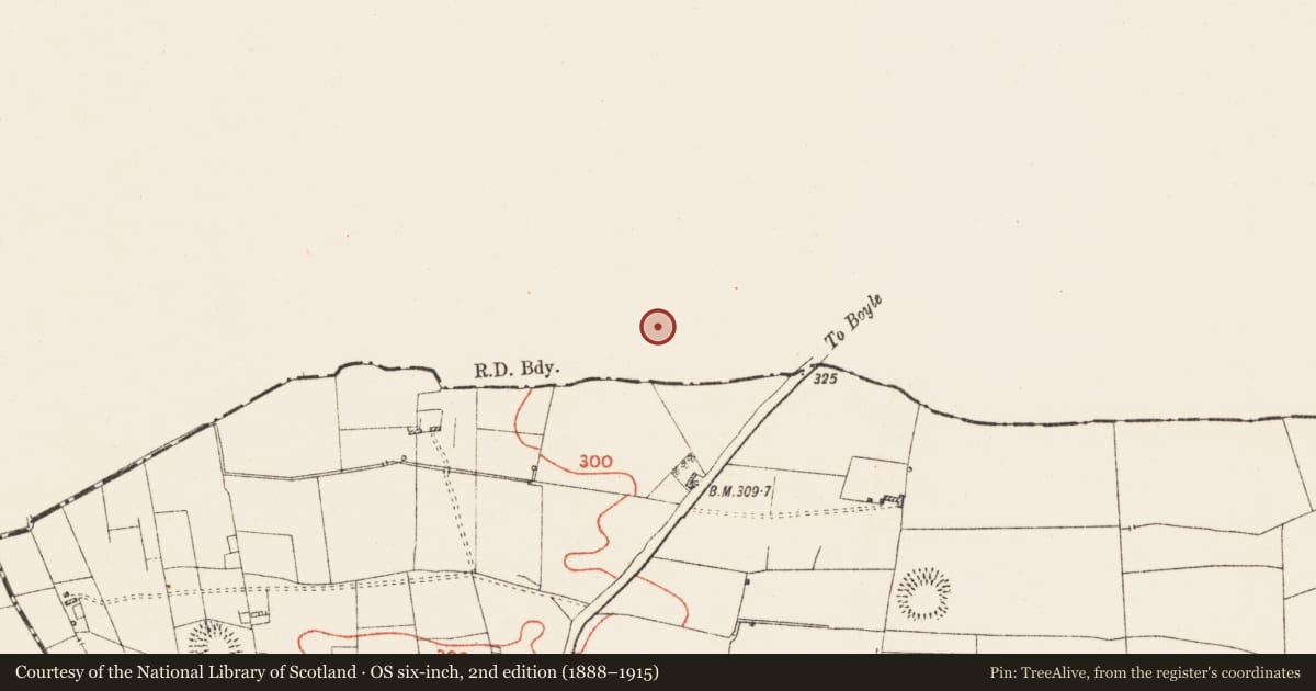 Ordnance Survey six-inch map, 2nd edition (1888–1915) covering the location of Ringfort - rath, Killaraght, County Sligo, with a pin at the register's coordinates