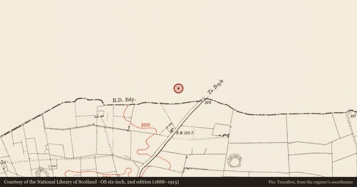 Ordnance Survey six-inch map, 2nd edition (1888–1915) covering the location of Ringfort - rath, Killaraght, County Sligo, with a pin at the register's coordinates