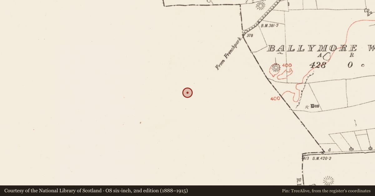 Ordnance Survey six-inch map, 2nd edition (1888–1915) covering the location of Road - road/trackway, Killaraght, County Sligo, with a pin at the register's coordinates