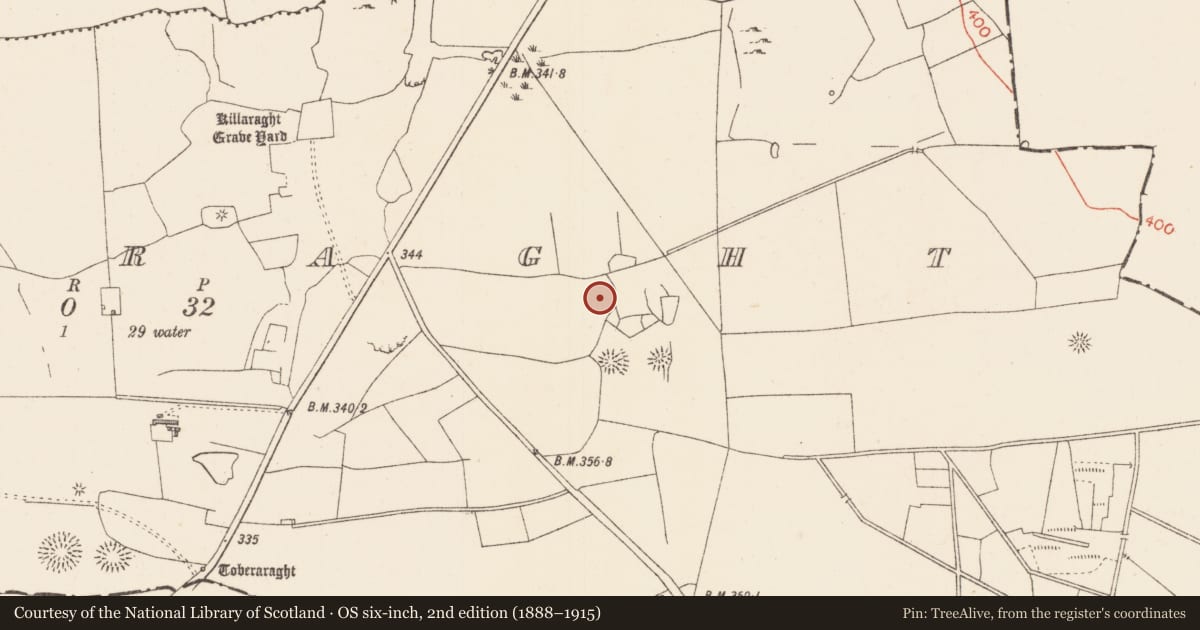 Ordnance Survey six-inch map, 2nd edition (1888–1915) covering the location of Field system, Killaraght, County Sligo, with a pin at the register's coordinates
