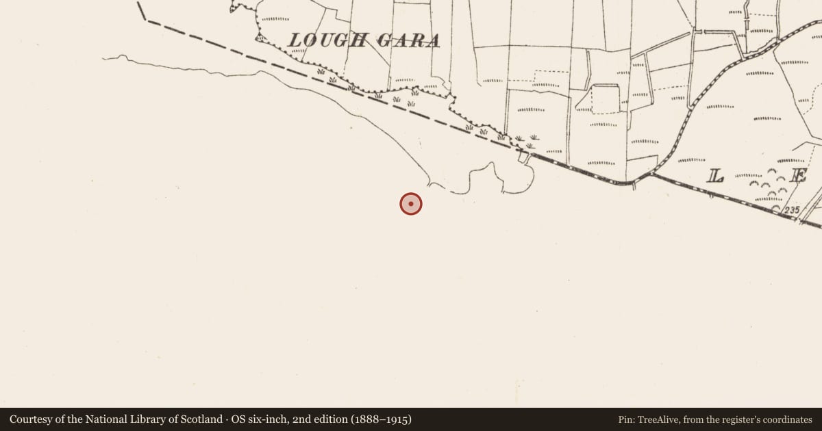 Ordnance Survey six-inch map, 2nd edition (1888–1915) covering the location of Fulacht fia, Lisserlough, County Sligo, with a pin at the register's coordinates