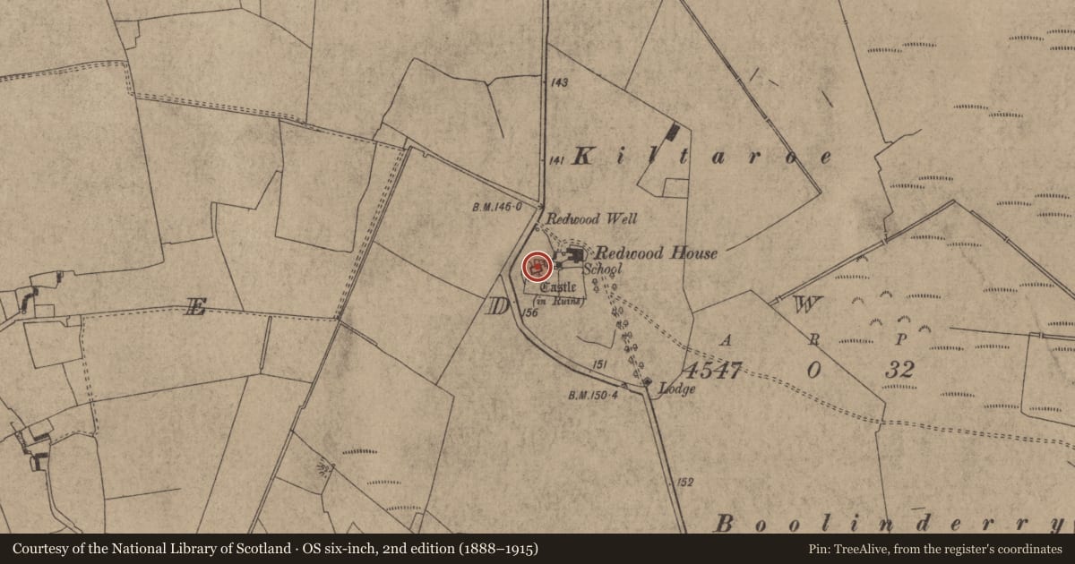 Ordnance Survey six-inch map, 2nd edition (1888–1915) covering the location of Castle - tower house, Redwood (Lorrha Par.), County Tipperary North, with a pin at the register's coordinates