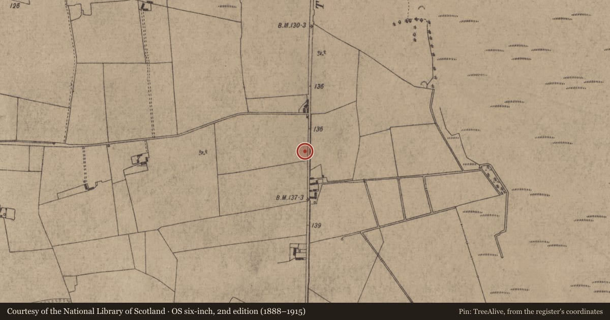 Ordnance Survey six-inch map, 2nd edition (1888–1915) covering the location of Road - unclassified togher, Redwood (Dorrha Par.), County Tipperary North, with a pin at the register's coordinates