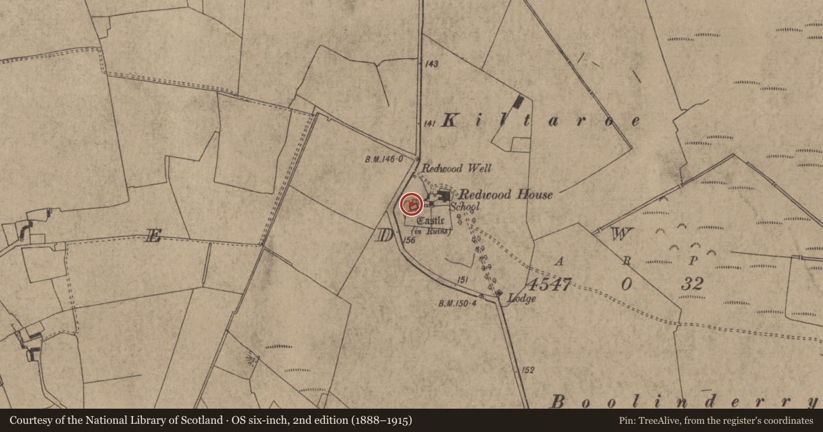 Ordnance Survey six-inch map, 2nd edition (1888–1915) covering the location of Sheela-na-gig, Redwood (Lorrha Par.), County Tipperary North, with a pin at the register's coordinates