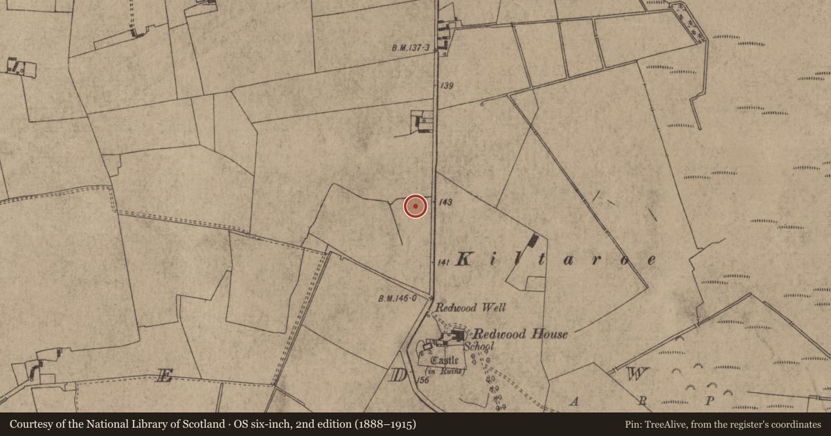 Ordnance Survey six-inch map, 2nd edition (1888–1915) covering the location of Earthwork, Redwood (Dorrha Par.), County Tipperary North, with a pin at the register's coordinates