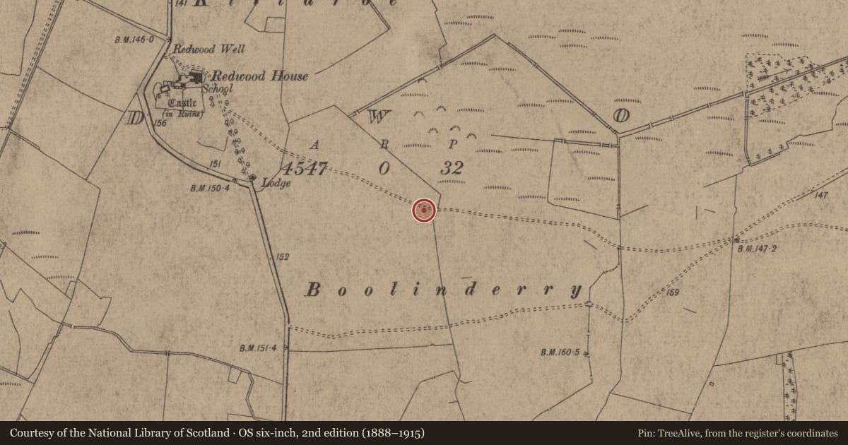 Ordnance Survey six-inch map, 2nd edition (1888–1915) covering the location of Earthwork, Redwood (Dorrha Par.), County Tipperary North, with a pin at the register's coordinates