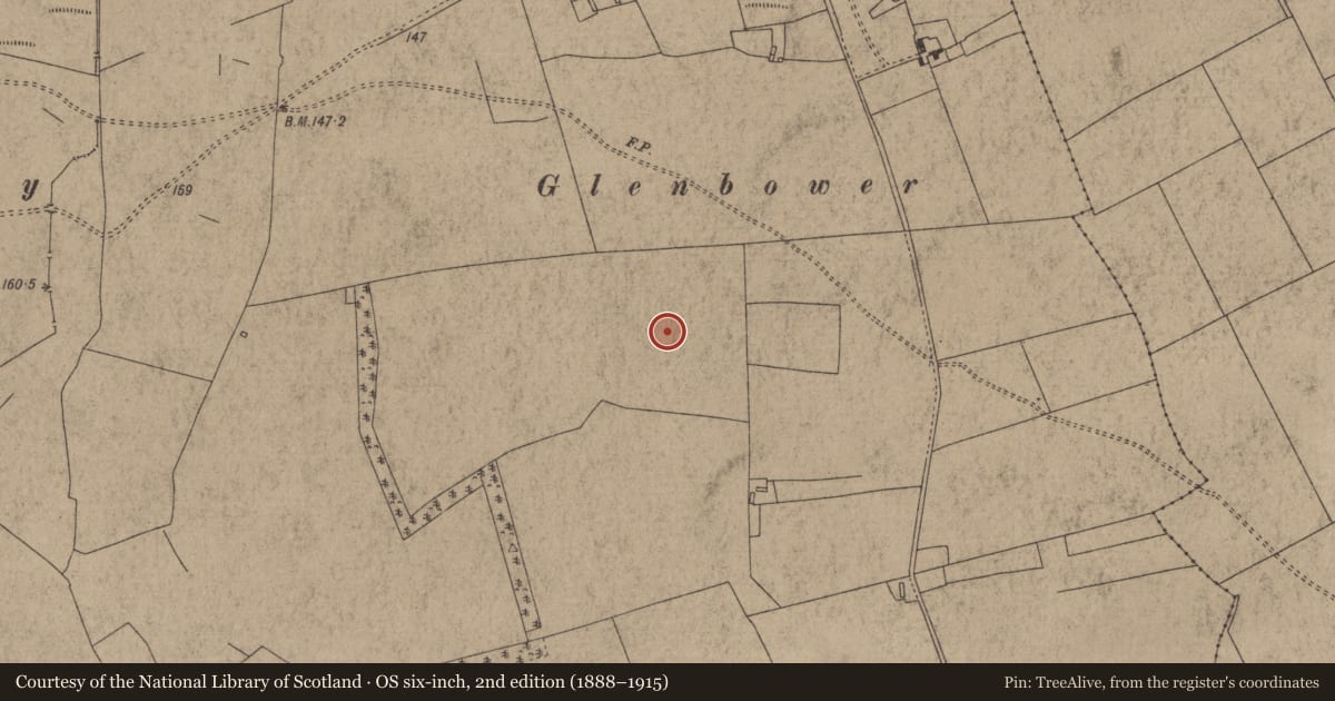 Ordnance Survey six-inch map, 2nd edition (1888–1915) covering the location of Earthwork, Redwood (Dorrha Par.), County Tipperary North, with a pin at the register's coordinates