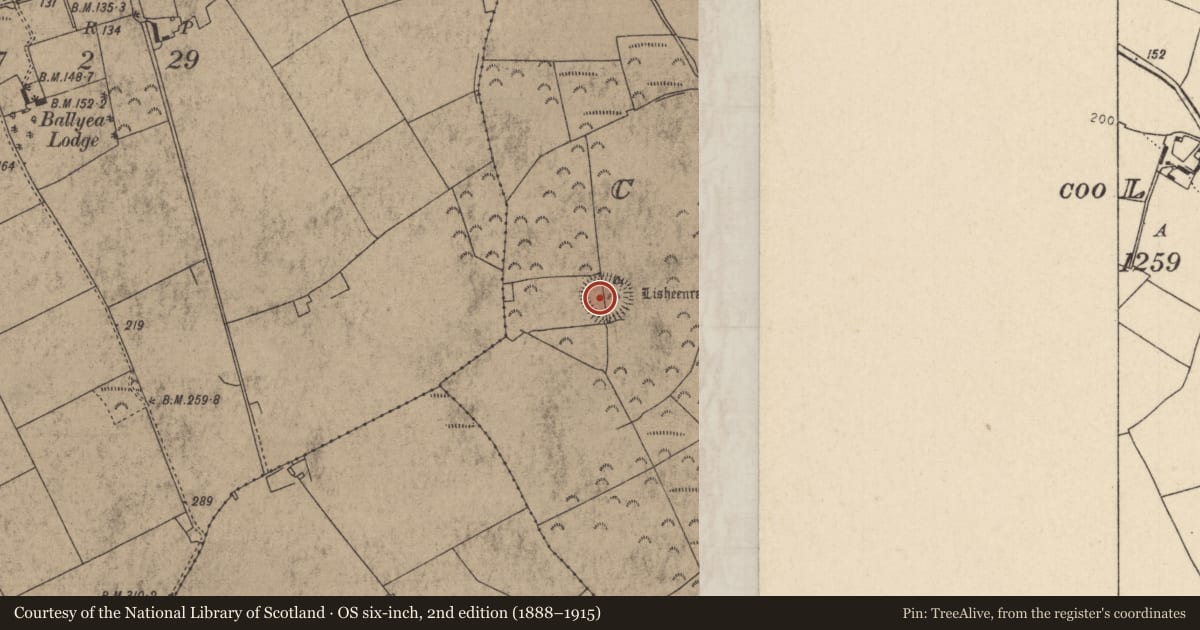 Ordnance Survey six-inch map, 2nd edition (1888–1915) covering the location of Ringfort - rath, Coolross (Dorrha Par.), County Tipperary North, with a pin at the register's coordinates