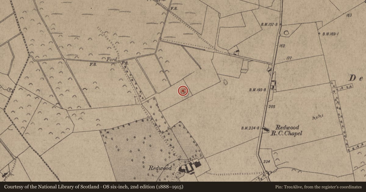 Ordnance Survey six-inch map, 2nd edition (1888–1915) covering the location of Enclosure, Redwood (Lorrha Par.), County Tipperary North, with a pin at the register's coordinates