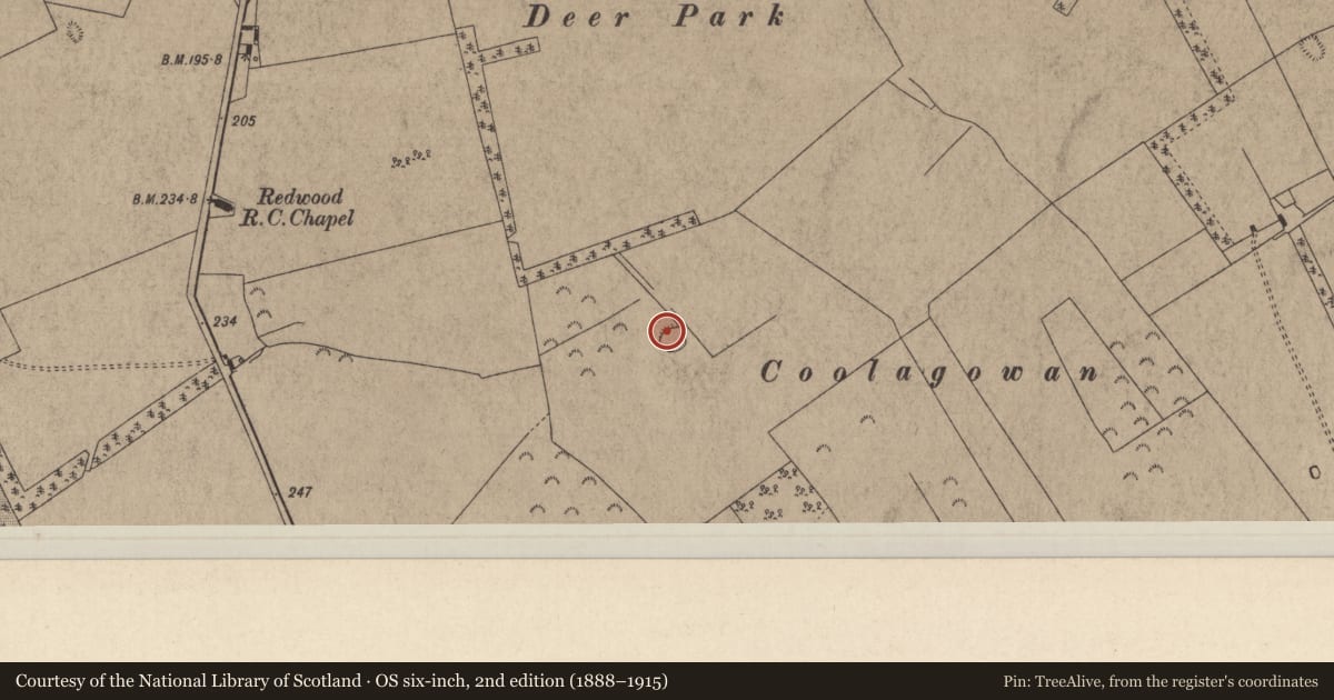 Ordnance Survey six-inch map, 2nd edition (1888–1915) covering the location of Enclosure, Redwood (Dorrha Par.), County Tipperary North, with a pin at the register's coordinates
