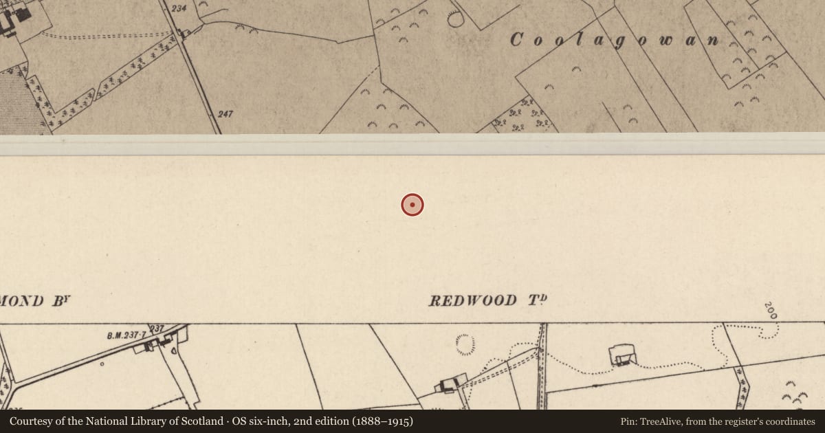 Ordnance Survey six-inch map, 2nd edition (1888–1915) covering the location of Enclosure, Redwood (Lorrha Par.), County Tipperary North, with a pin at the register's coordinates