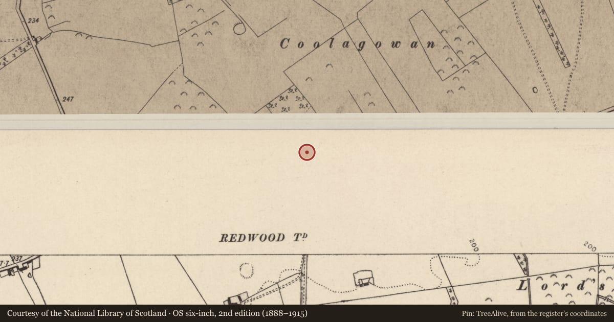 Ordnance Survey six-inch map, 2nd edition (1888–1915) covering the location of Enclosure, Redwood (Dorrha Par.), County Tipperary North, with a pin at the register's coordinates