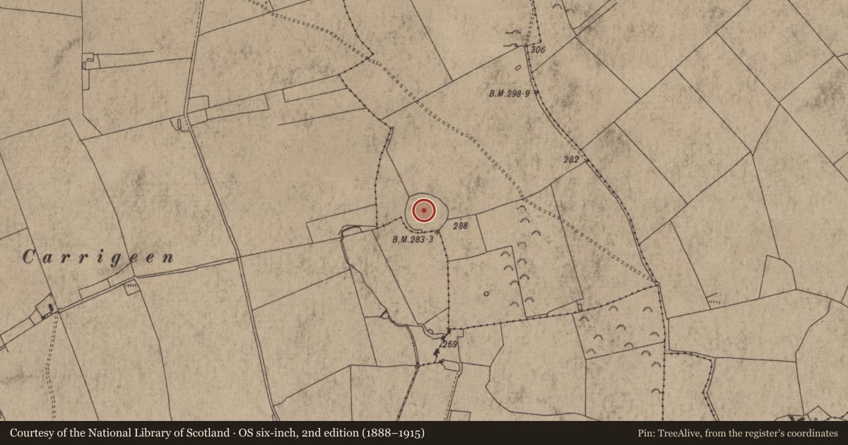 Ordnance Survey six-inch map, 2nd edition (1888–1915) covering the location of Enclosure, Ballyea (Dorrha Par.), Redwood (Dorrha Par.), County Tipperary North, with a pin at the register's coordinates