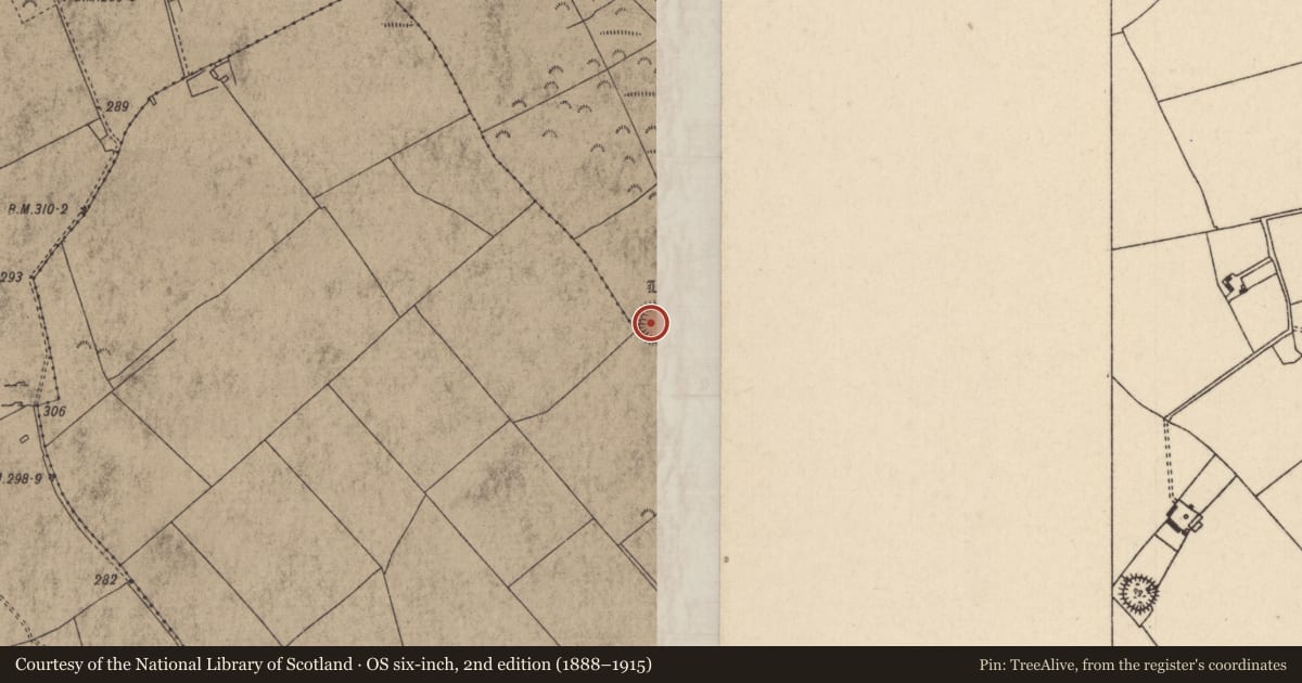 Ordnance Survey six-inch map, 2nd edition (1888–1915) covering the location of Ringfort - rath, Coolross (Dorrha Par.), Derry (Dorrha Par.), County Tipperary North, with a pin at the register's coordinates