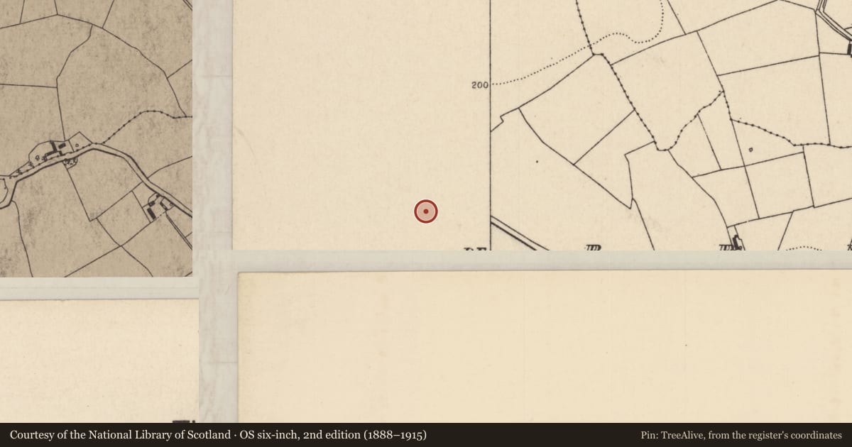 Ordnance Survey six-inch map, 2nd edition (1888–1915) covering the location of Church, Derry (Dorrha Par.), County Tipperary North, with a pin at the register's coordinates