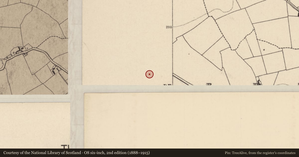 Ordnance Survey six-inch map, 2nd edition (1888–1915) covering the location of Graveyard, Derry (Dorrha Par.), County Tipperary North, with a pin at the register's coordinates