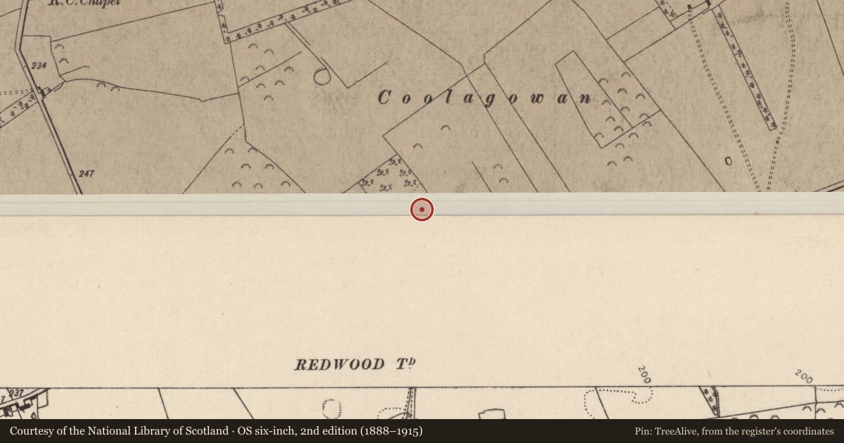 Ordnance Survey six-inch map, 2nd edition (1888–1915) covering the location of Enclosure, Redwood (Dorrha Par.), County Tipperary North, with a pin at the register's coordinates