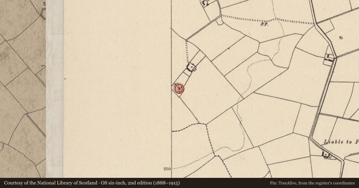 Ordnance Survey six-inch map, 2nd edition (1888–1915) covering the location of Ringfort - rath, Coolross (Dorrha Par.), County Tipperary North, with a pin at the register's coordinates