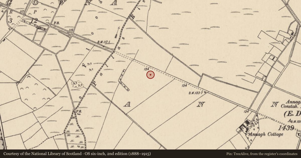 Ordnance Survey six-inch map, 2nd edition (1888–1915) covering the location of Moated site, Annagh (Dorrha Par.), County Tipperary North, with a pin at the register's coordinates