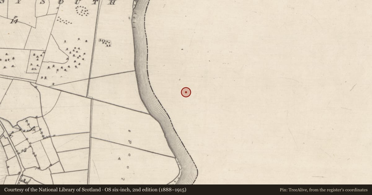 Ordnance Survey six-inch map, 2nd edition (1888–1915) covering the location of Enclosure, Portland Island, County Tipperary North, with a pin at the register's coordinates