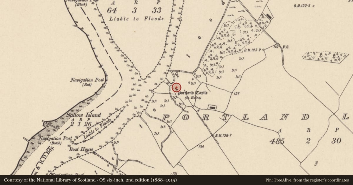Ordnance Survey six-inch map, 2nd edition (1888–1915) covering the location of Castle - tower house, Portland Little, County Tipperary North, with a pin at the register's coordinates