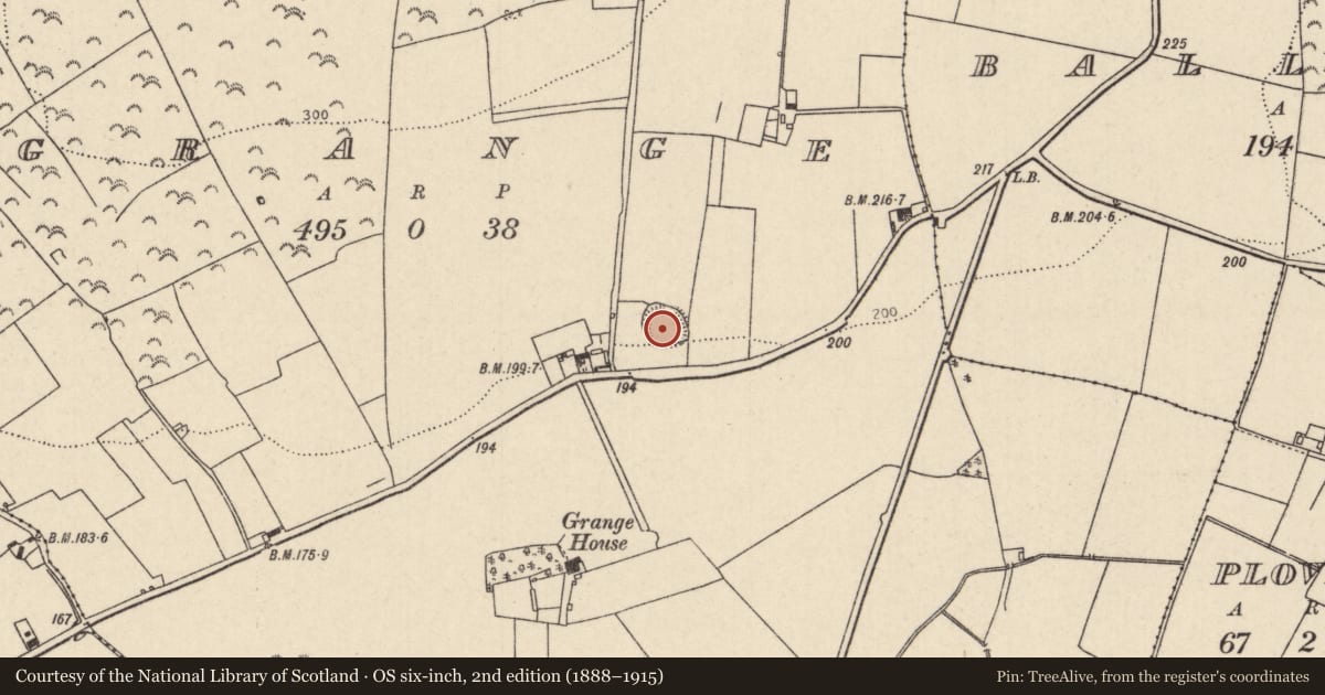 Ordnance Survey six-inch map, 2nd edition (1888–1915) covering the location of Enclosure, Grange (Lorrha Par.), County Tipperary North, with a pin at the register's coordinates