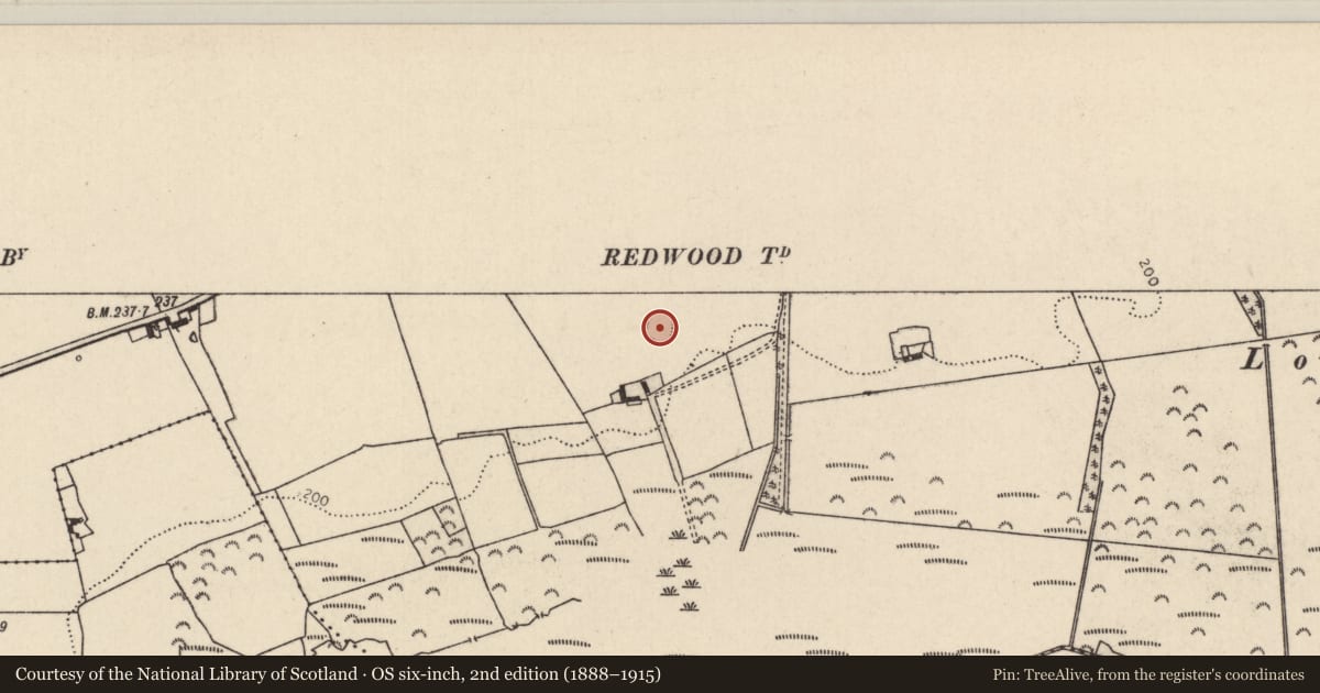 Ordnance Survey six-inch map, 2nd edition (1888–1915) covering the location of Enclosure, Redwood (Lorrha Par.), County Tipperary North, with a pin at the register's coordinates