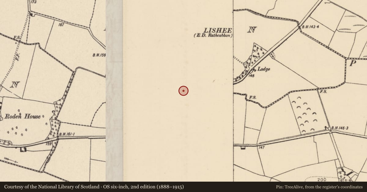 Ordnance Survey six-inch map, 2nd edition (1888–1915) covering the location of Ritual site - holy well, Lisheen (Dorrha Par.), County Tipperary North, with a pin at the register's coordinates