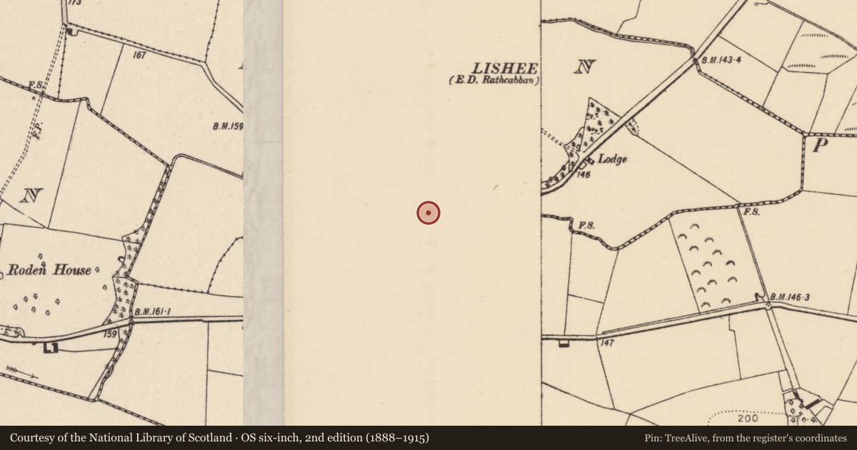 Ordnance Survey six-inch map, 2nd edition (1888–1915) covering the location of Ritual site - holy tree/bush, Lisballyard, Lisheen (Dorrha Par.), County Tipperary North, with a pin at the register's coordinates