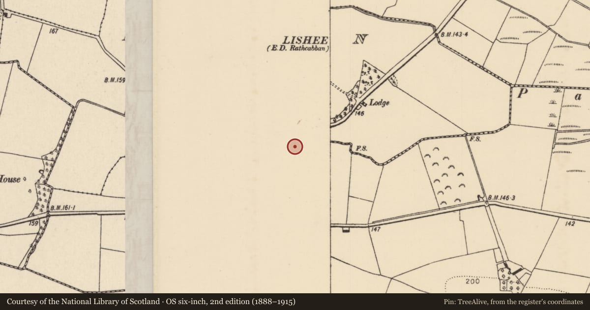 Ordnance Survey six-inch map, 2nd edition (1888–1915) covering the location of Bullaun stone, Lisballyard, Lisheen (Dorrha Par.), County Tipperary North, with a pin at the register's coordinates