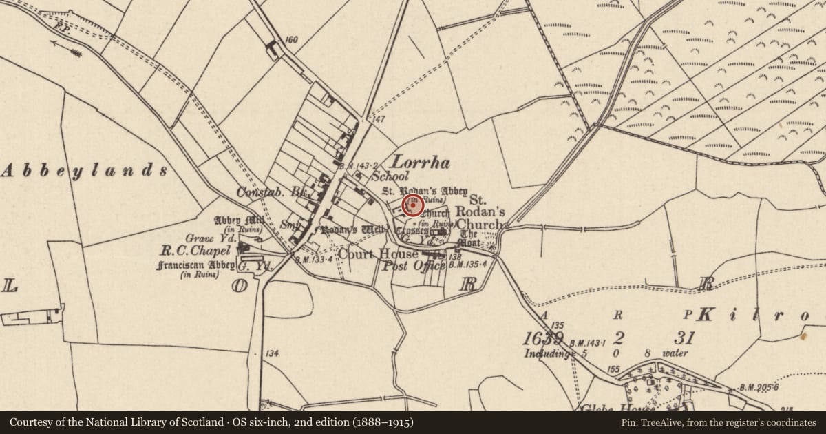 Ordnance Survey six-inch map, 2nd edition (1888–1915) covering the location of Historic town, Lorrha, County Tipperary North, with a pin at the register's coordinates
